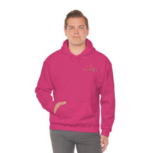 Load image into Gallery viewer, T.R MATSON COLLAB HOODIE: NEVER DOWN, NEVER OUT