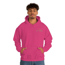 Load image into Gallery viewer, T.R MATSON COLLAB HOODIE: NEVER DOWN, NEVER OUT